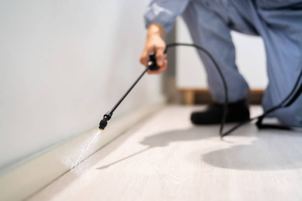 Bed Bug Pre-Treatment Preparation Assessment in Coosada