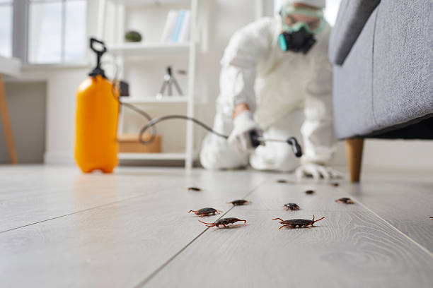 Post-Treatment Bed Bug Interceptor Monitoring in Coosada
